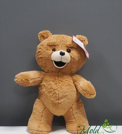 Teddy Bear, Height 45 cm photo 394x433